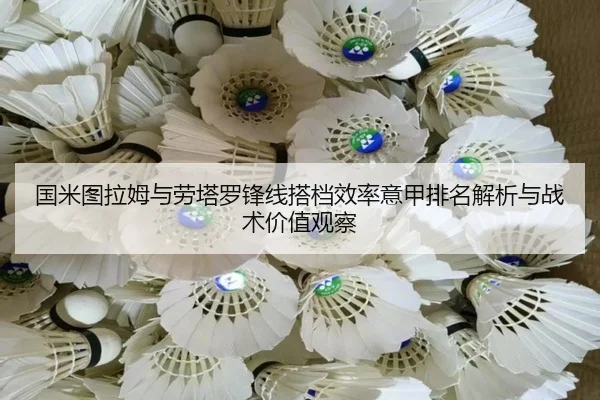 国米图拉姆与劳塔罗锋线搭档效率意甲排名解析与战术价值观察