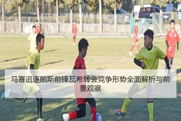 马赛追逐朗斯前锋瓦希转会竞争形势全面解析与前景观察